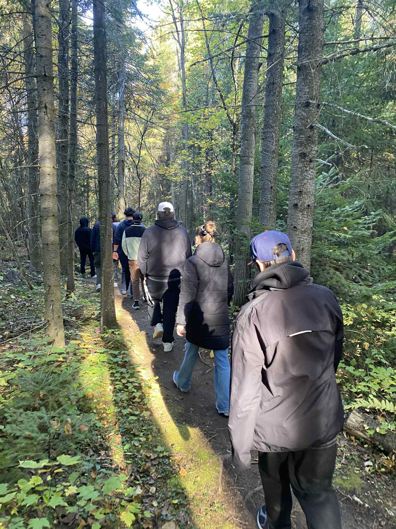 619df28b Cbf8 4214 B948 Cf8075aeec95