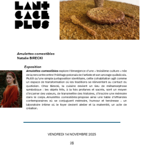 Capture D’écran 2025 11 10 143932